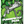 Art Card Sticker